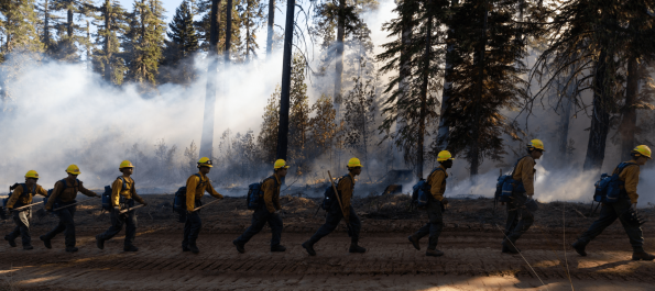 Leather Preservative Originally Developed for Wild-land Firefighters